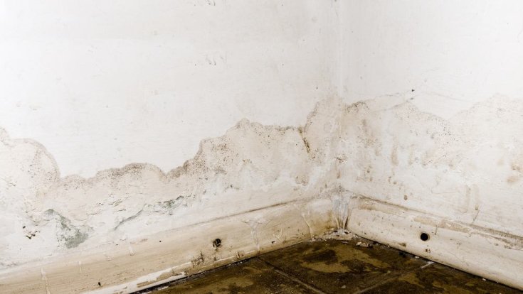 8 Common Causes of Home Water Damage